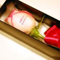 メッセージローズ&nbsp;画像1