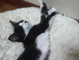 DMIとADXの算出 Part1&nbsp;画像1