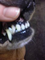 節分天井はドル様の誕生日♪&nbsp;画像1