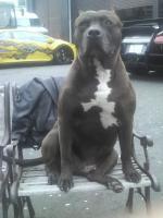 雨は、しんどす～～&nbsp;画像1