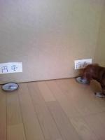 今晩は円高？！&nbsp;画像1