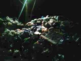 吉祥寺散策&nbsp;画像1