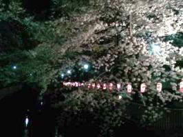 吉祥寺散策&nbsp;画像1