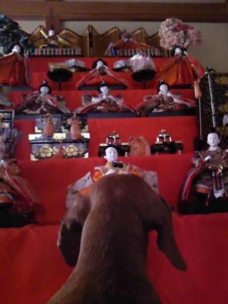 お雛様…（汗）。でも、相場は好調、デジガレ・東芝…。
