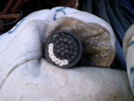 高値買い！！&nbsp;画像1