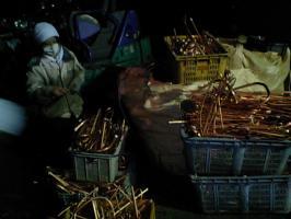 残業中・・・・・&nbsp;画像1