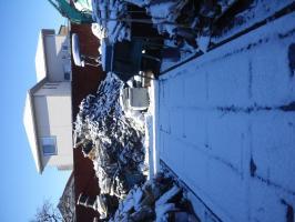 昨日の雪♪ 画像1