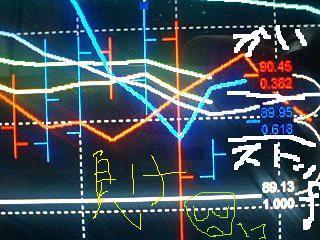 昨日の暴落相場の影響は、いかに・・・・！？