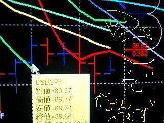 たんたんたぬきの金曜日～～～♪♪